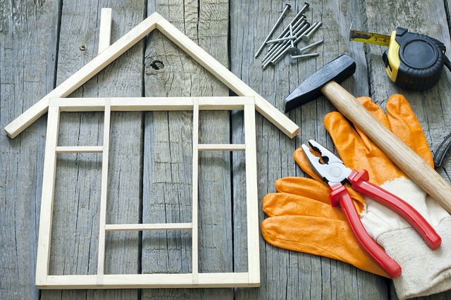 house building illustration