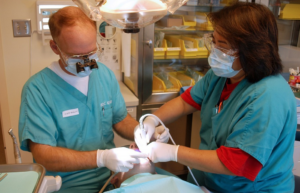 dentists